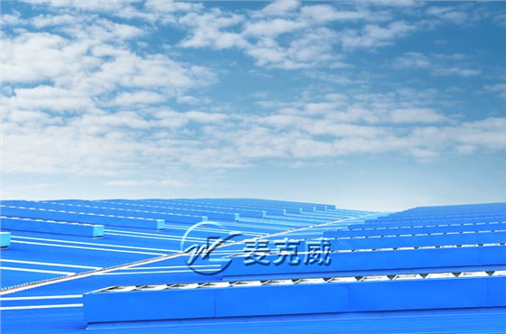 武漢武船雙柳特種船舶項目 武漢武船雙柳特種船舶項目