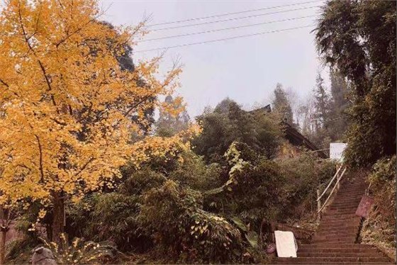 2018四川麥克威秋游活動喇叭河之旅 2018四川麥克威秋游活動喇叭河之旅