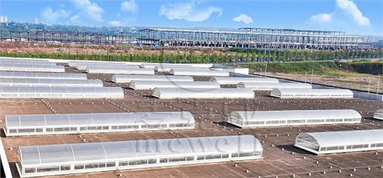 菲亞特汽車 菲亞特汽車