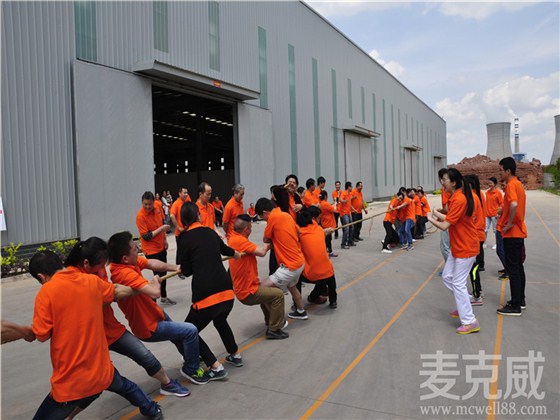 拔河比賽1 拔河比賽1