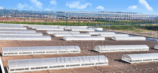 菲亞特汽車 菲亞特汽車