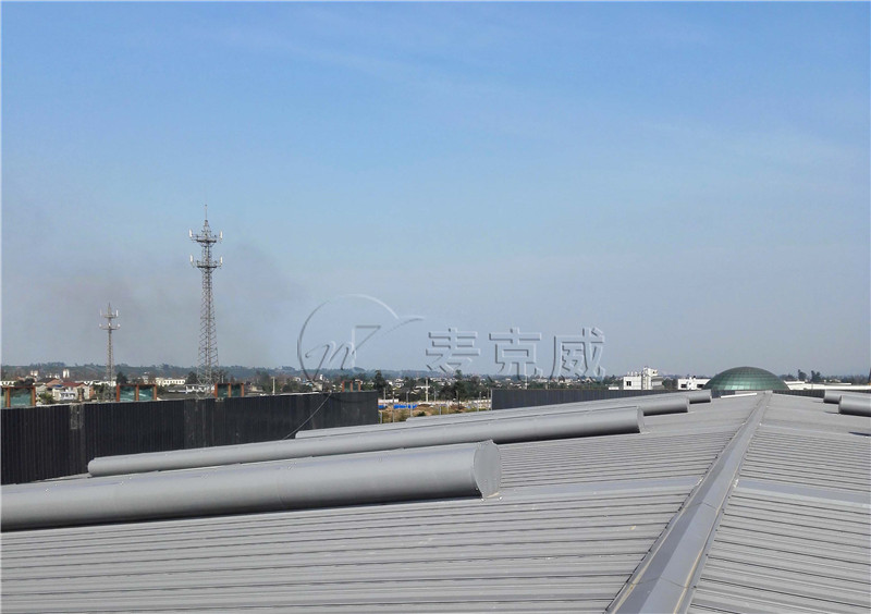 濰柴異改 濰柴異改